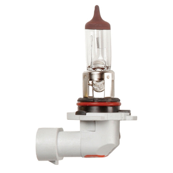 12V 60W HB3 P20d Halogen Headlamp Bulb