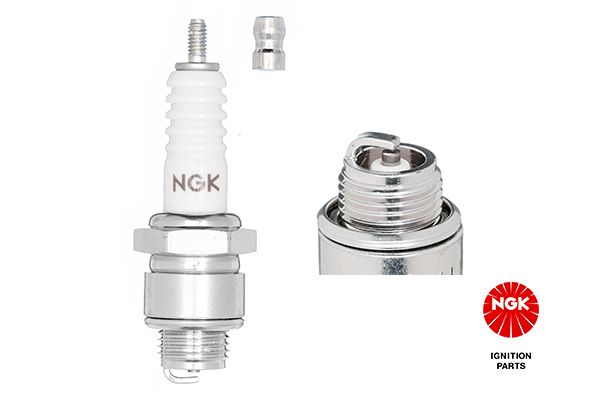 NGK 3810A Spark Plug - 1