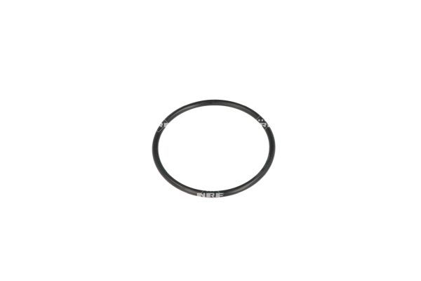 NRF 725063 Thermostat, coolant - 6