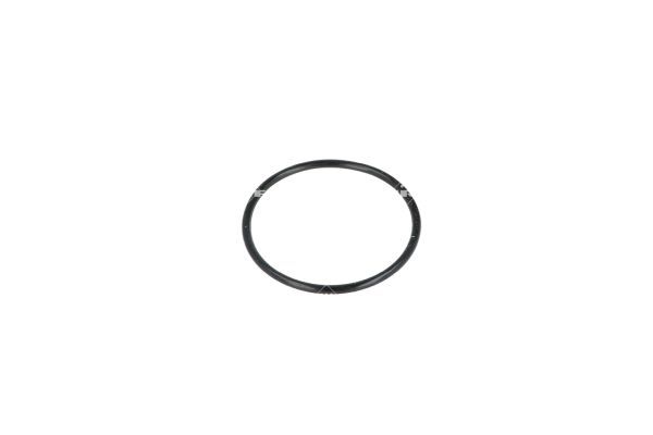 NRF 725079 Thermostat, coolant - 6