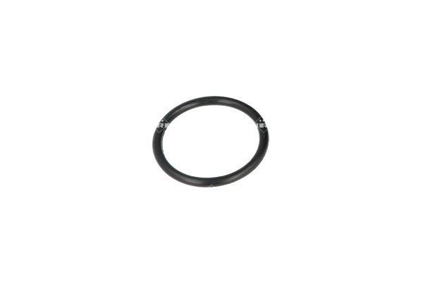 NRF 725116 Thermostat, coolant - 6