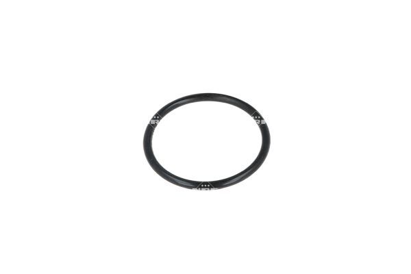 NRF 725161 Thermostat, coolant - 6