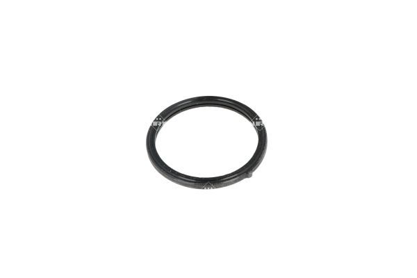 NRF 725196 Thermostat, coolant - 6