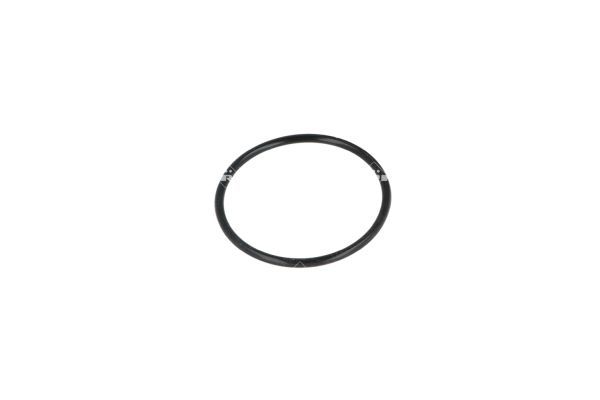 NRF 725209 Thermostat, coolant - 6