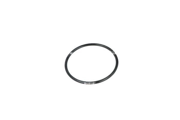 NRF 725289 Thermostat, coolant - 6