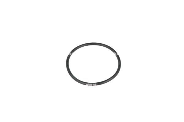 NRF 725290 Thermostat, coolant - 6