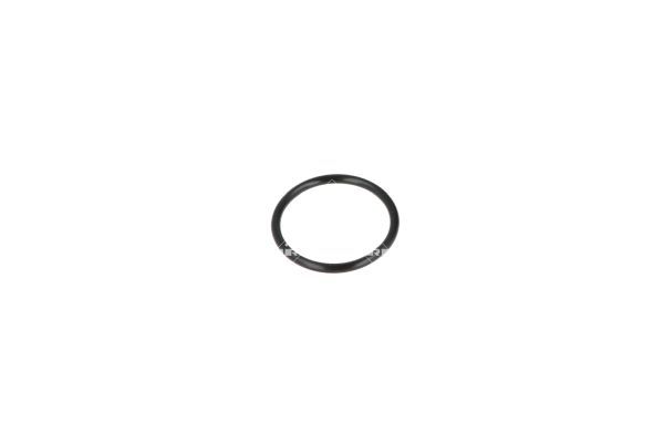 NRF 775007 Coolant Flange - 6