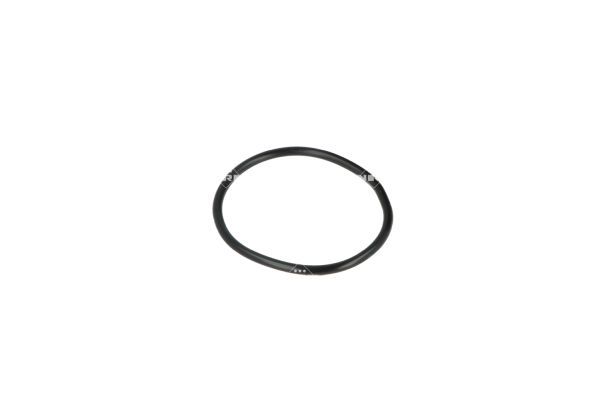 NRF 775029 Coolant Flange - 6