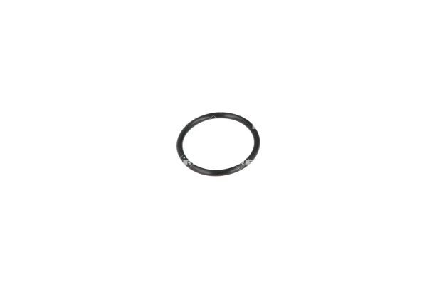 NRF 775030 Coolant Flange - 6