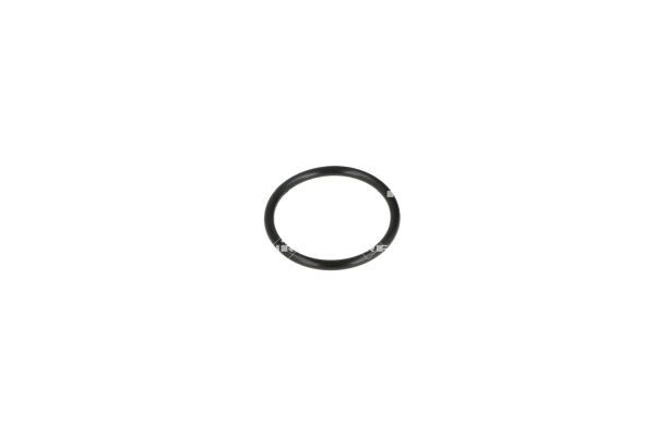 NRF 775032 Coolant Flange - 6