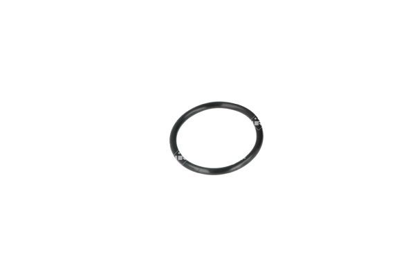 NRF 775038 Coolant Flange - 6