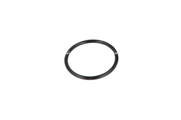 NRF 775045 Coolant Flange - 6