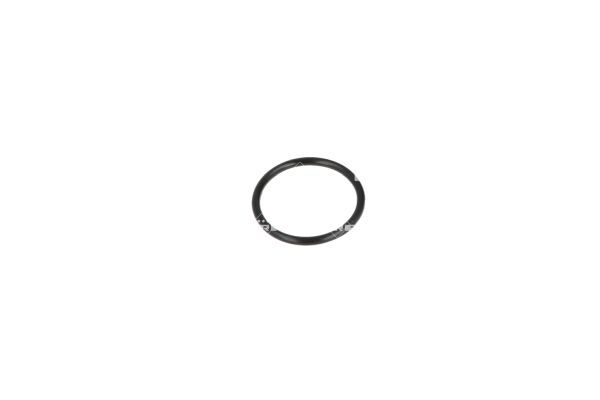 NRF 775046 Coolant Flange - 6