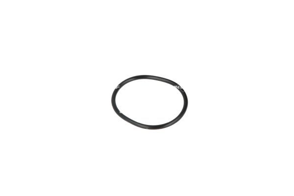 NRF 775050 Coolant Flange - 6