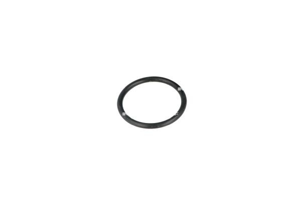 NRF 775055 Coolant Flange - 6