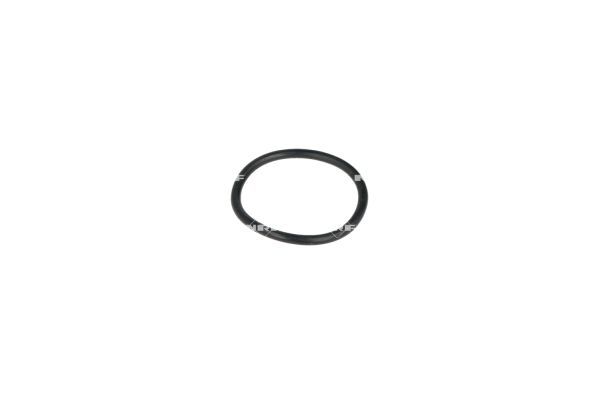NRF 775079 Coolant Flange - 6