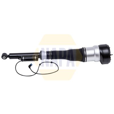 Napa NAS1102 Air Suspension Strut - 1