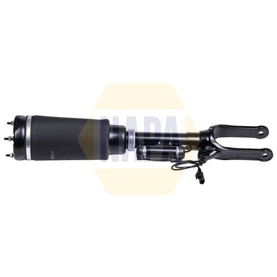 Napa NAS1103 Air Suspension Strut - 1