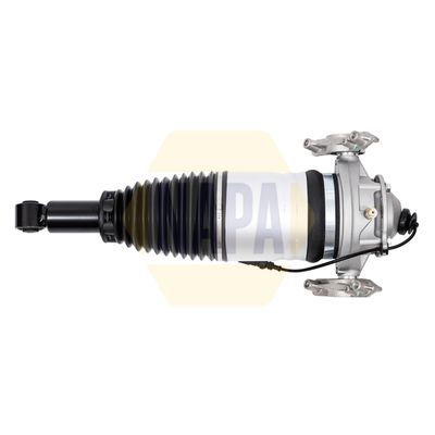 Napa NAS1181 Air Suspension Strut - 1