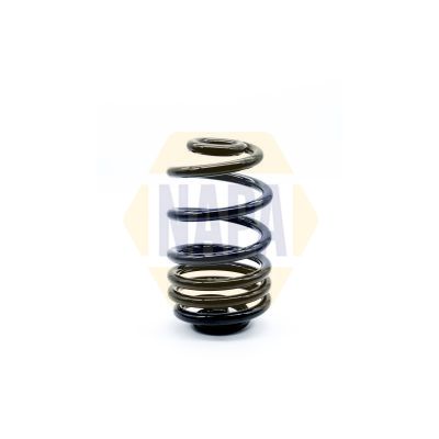 Napa NCS1312 Suspension Spring - 1