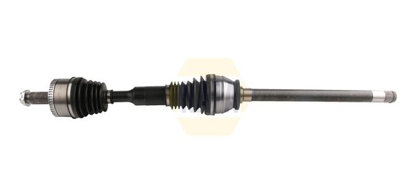 Napa NDS1776R Drive Shaft - 1