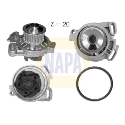 Napa NWP1007 Water Pump, engine cooling - 1