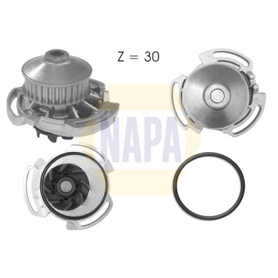 Napa NWP1011 Water Pump, engine cooling - 1