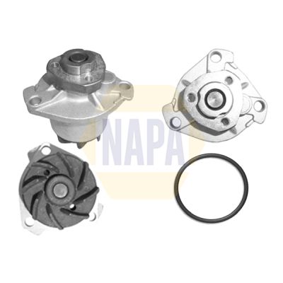 Napa NWP1018 Water Pump, engine cooling - 1
