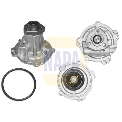 Napa NWP1019 Water Pump, engine cooling - 1