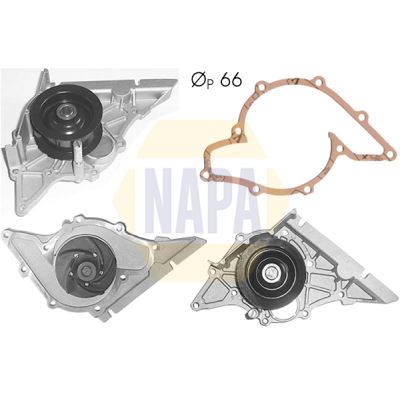 Napa NWP1029 Water Pump, engine cooling - 1