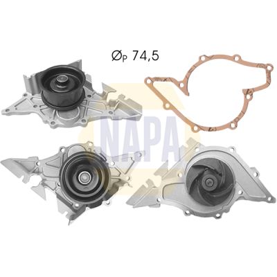 Napa NWP1030 Water Pump, engine cooling - 1