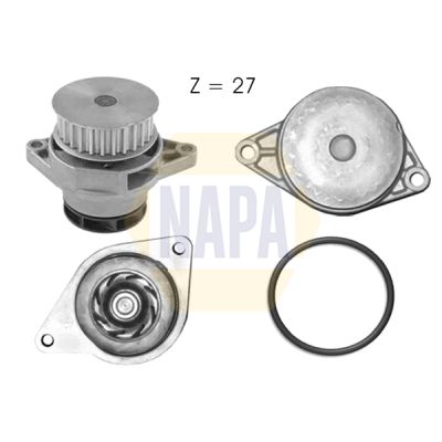 Napa NWP1033 Water Pump, engine cooling - 1