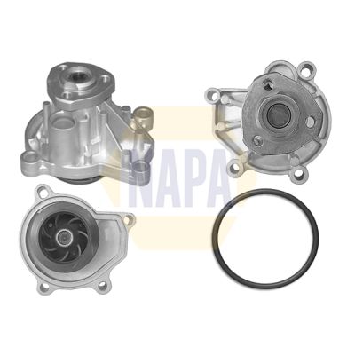 Napa NWP1036 Water Pump, engine cooling - 1
