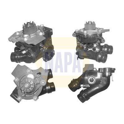 Napa NWP1051 Water Pump, engine cooling - 1