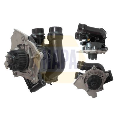 Napa NWP1059 Water Pump, engine cooling - 1