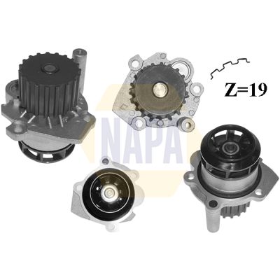 Napa NWP1061 Water Pump, engine cooling - 1