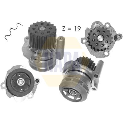 Napa NWP1062 Water Pump, engine cooling - 1
