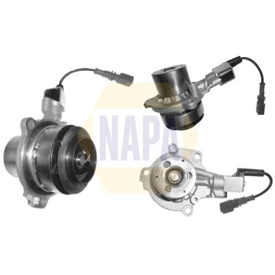 Napa NWP1069 Water Pump, engine cooling - 1
