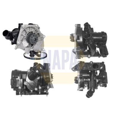 Napa NWP1078 Water Pump, engine cooling - 1