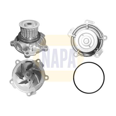 Napa NWP1084 Water Pump, engine cooling - 1