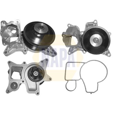 Napa NWP1110 Water Pump, engine cooling - 1