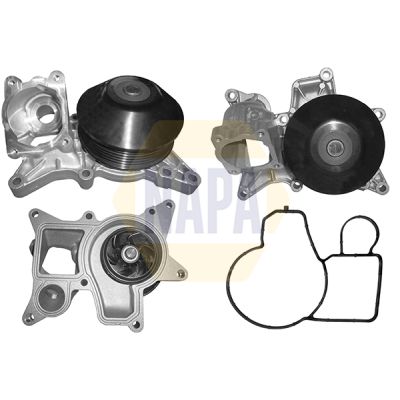 Napa NWP1111 Water Pump, engine cooling - 1