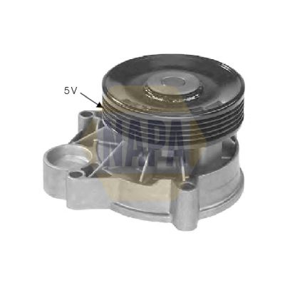Napa NWP1129 Water Pump, engine cooling - 1