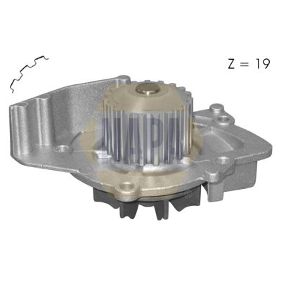 Napa NWP1141 Water Pump, engine cooling - 1
