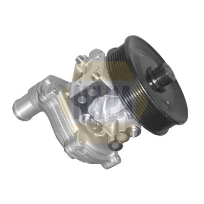 Napa NWP1198 Water Pump, engine cooling - 1