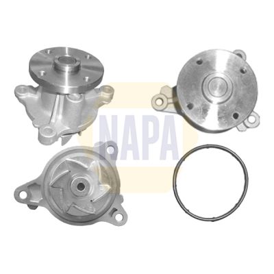Napa NWP1258 Water Pump, engine cooling - 1