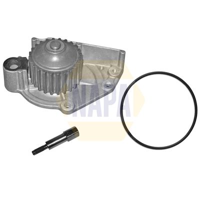 Napa NWP1342 Water Pump, engine cooling - 1