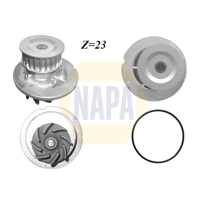 Napa NWP1427 Water Pump, engine cooling - 1