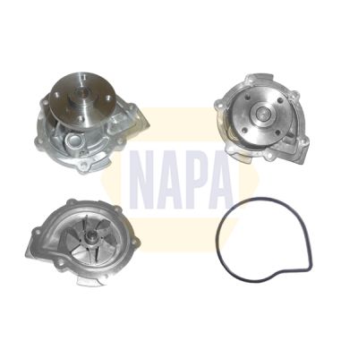 Napa NWP1502 Water Pump, engine cooling - 1