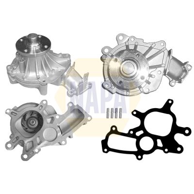 Napa NWP1508 Water Pump, engine cooling - 1